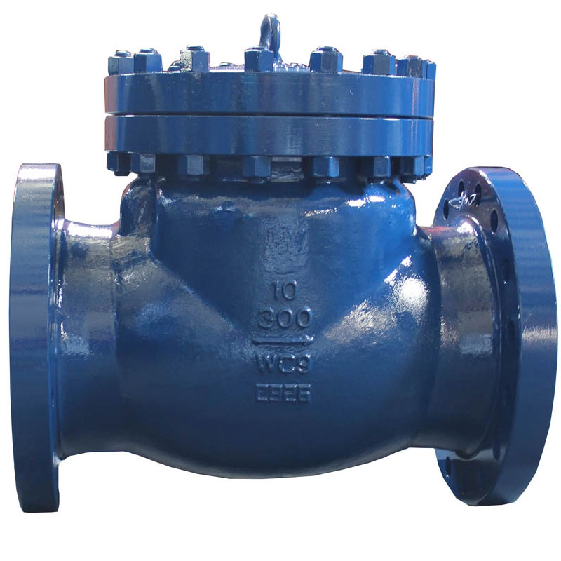 Ductile Iron Flanged Swing Check Valve