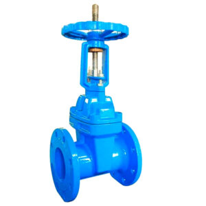 OS&Y Resilient Seat Rising Stem Gate Valve