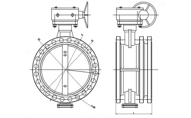 Ductile Iron Double Flanged Expansion Butterfly Valve drawing
