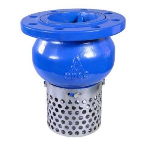 Flange-Type Foot Valve with Strainer