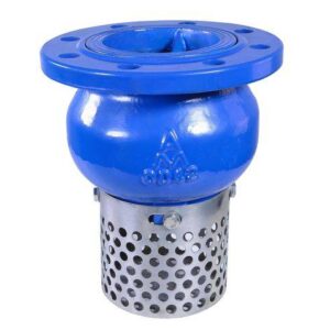 Flange-Type Foot Valve with Strainer