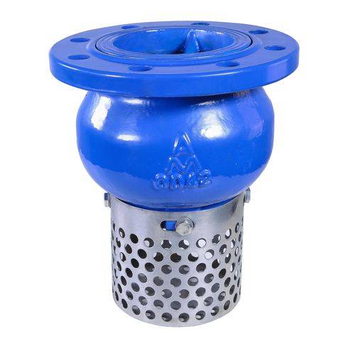Flange-Type Foot Valve with Strainer