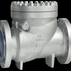 full flow swing type check valve