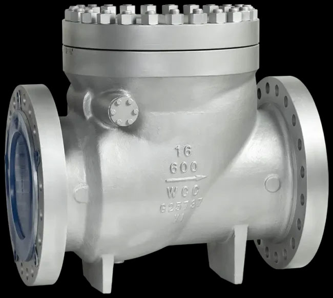 full flow swing type check valve