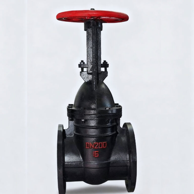 Rising Stem Solid Wedge Gate Valve