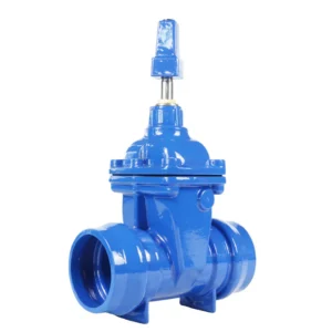 Socket Type Soft Seal Gate Valve
