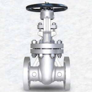 Stainless Steel CF3M Wedge Gate Valve