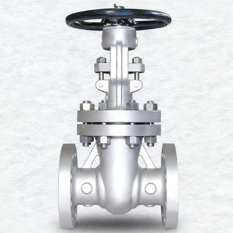 Stainless Steel CF3M Wedge Gate Valve