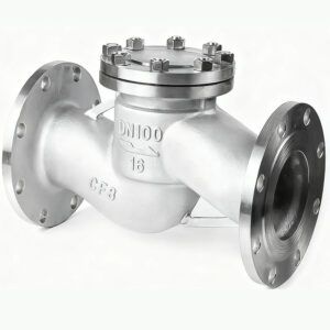 Stainless-Steel-Piston-Type-Check-Valve