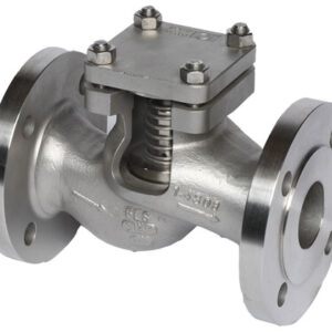 spring loaded piston check valve