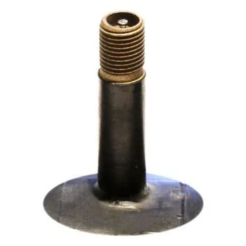 what are schrader valves