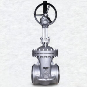 Cast Steel WCB Bolted Bonnet Gate Valve with A105N Bypass