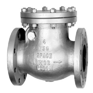 Feedwater Check Valves