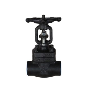 Gate Valve Class 800