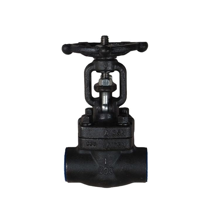 Gate Valve Class 800