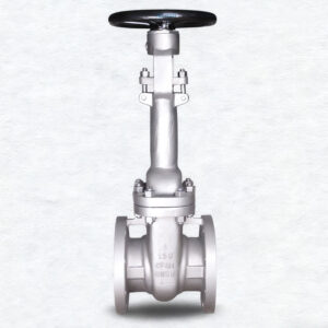Low-Temperature-Extended-Stem-CF8M-Gate-Valve