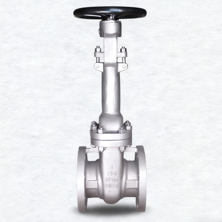 Low-Temperature Extended Stem CF8M Gate Valve
