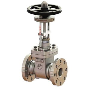 Parallel Slide Gate Valve