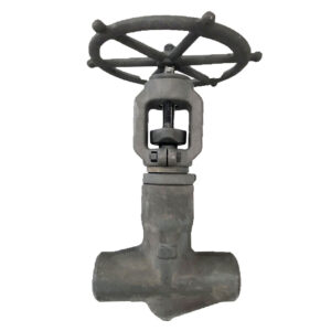 T-Pattern Carbon Steel Globe Valve