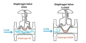 What Is a Diaphragm Valve