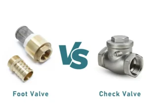 check valve vs foot valve