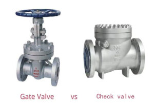 gate valve vs check valve