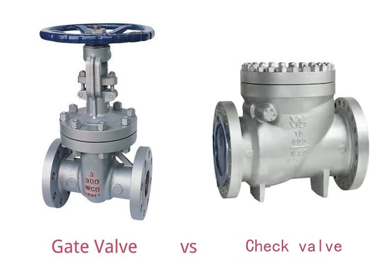 gate valve vs check valve
