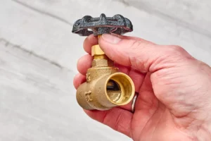 main water shut off globe valve