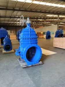 resilient wedge gate valve