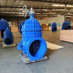 resilient wedge gate valve