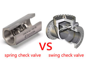 spring check valve vs swing check valve