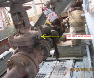 valve bonnet leakage