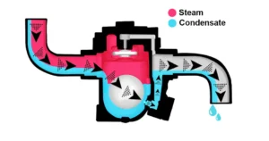 what is a steam trap