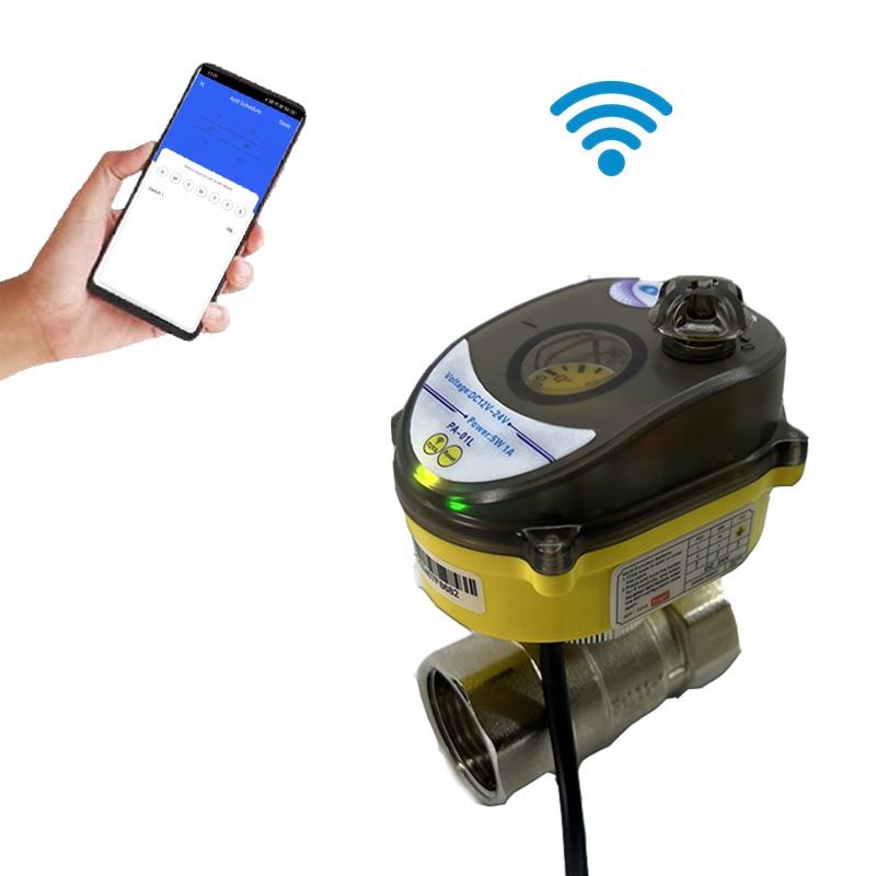 wifi ball valve