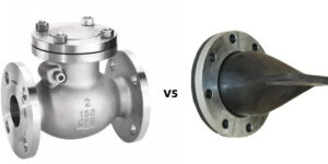 Swing Check vs Duckbill Check Valves